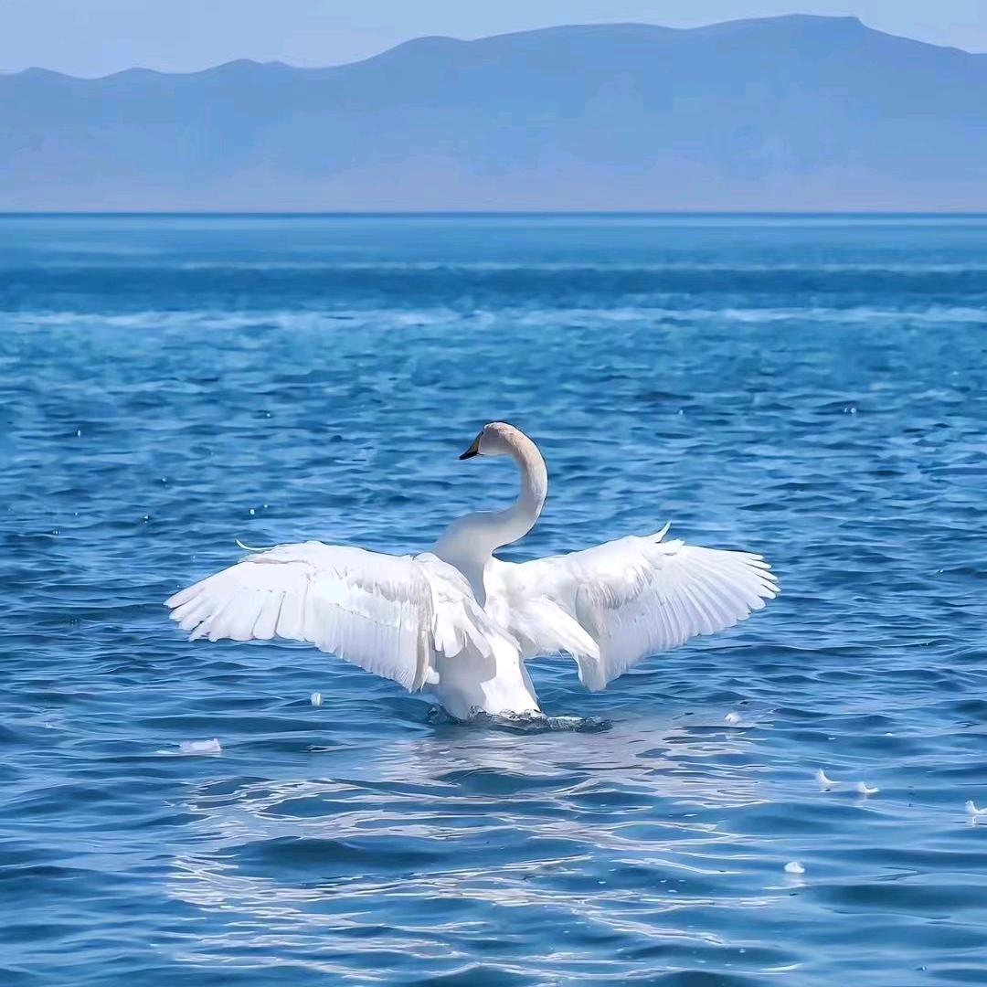 ╰☆繁华の☆╮