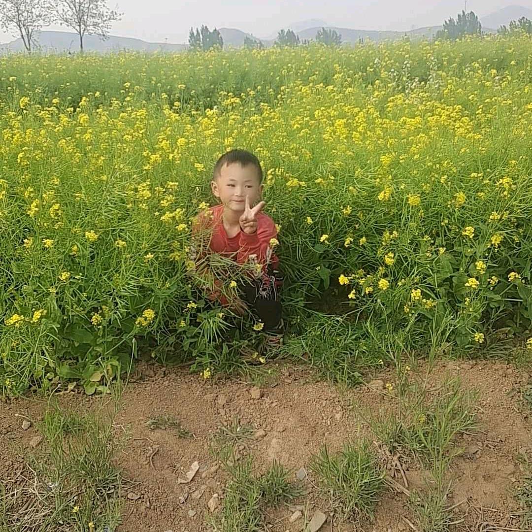 柔澈