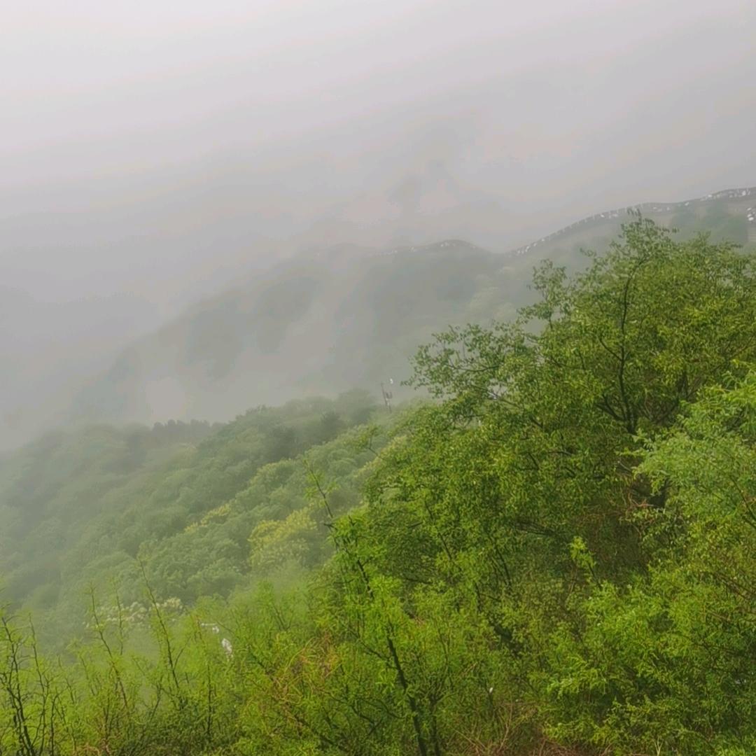 真心不容易
