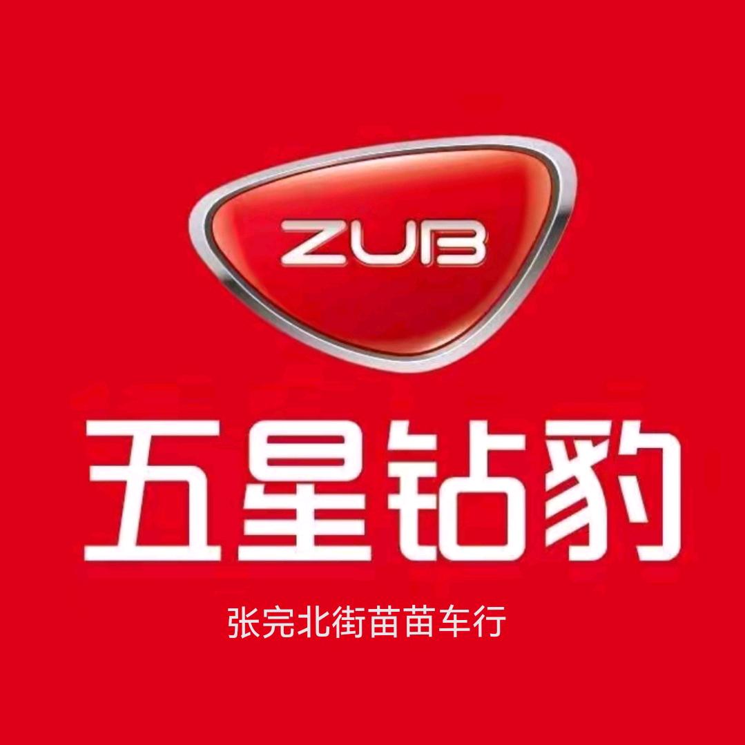 张完北街苗苗车行