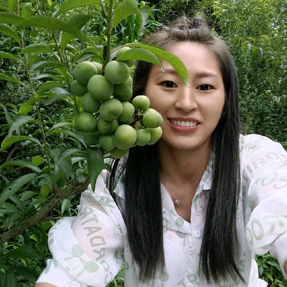 雪梅土特产绿色水果974697297