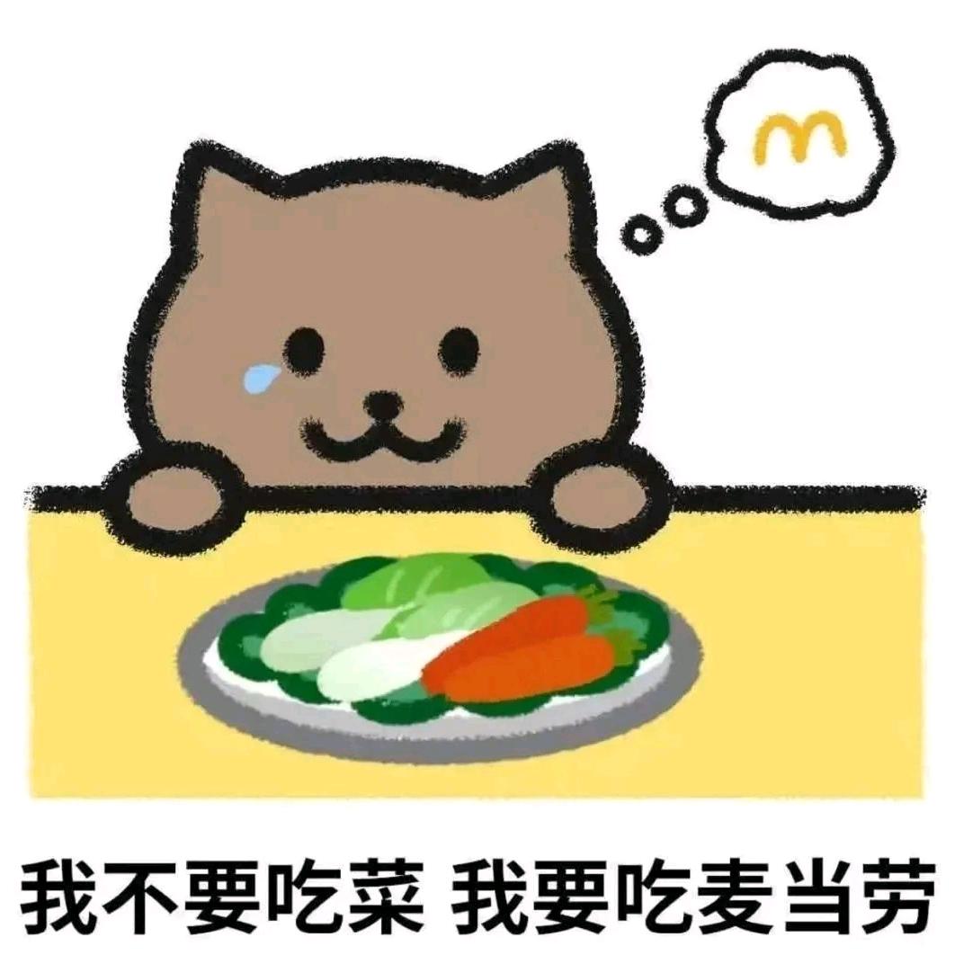 会弹琴的猫