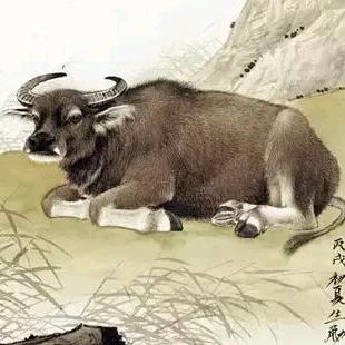 缘！