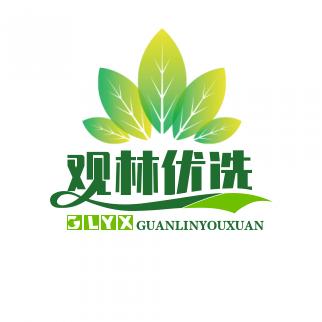 观林优选