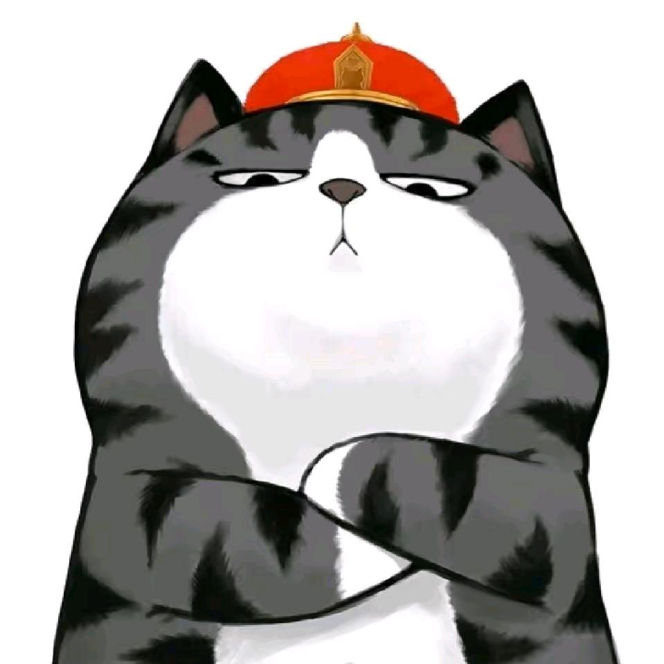天天7