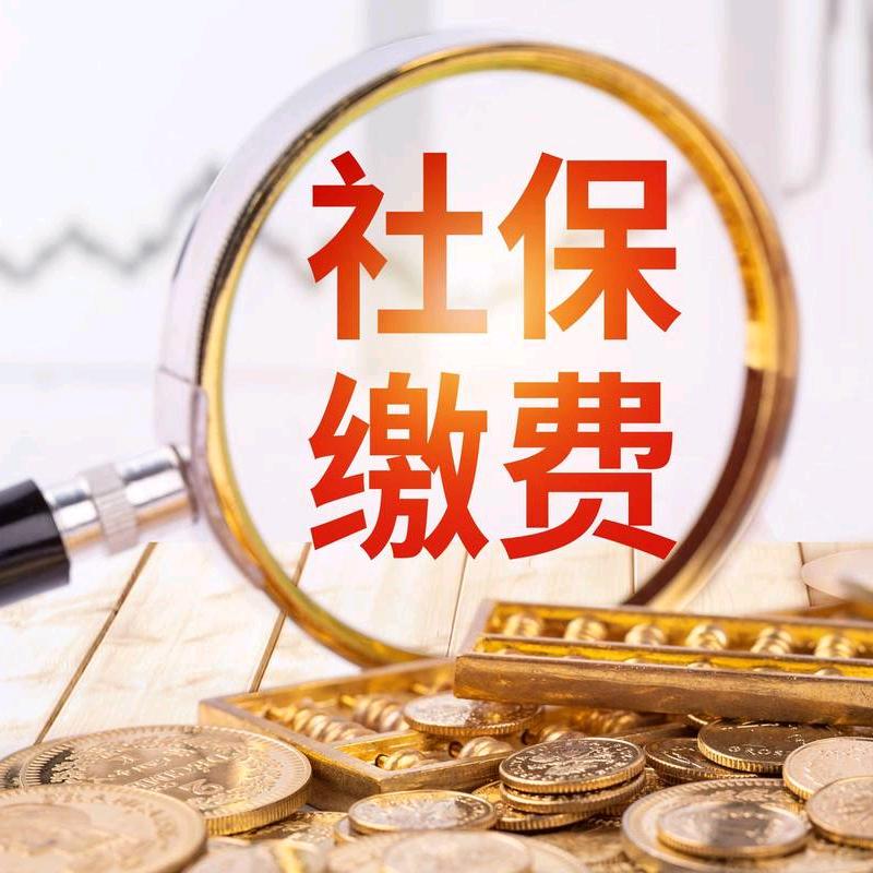 社保规划～小蕊