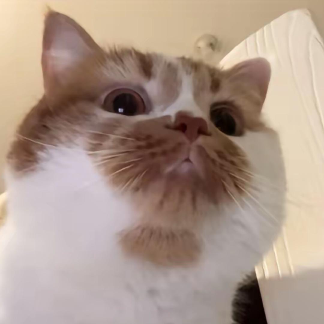 冗词