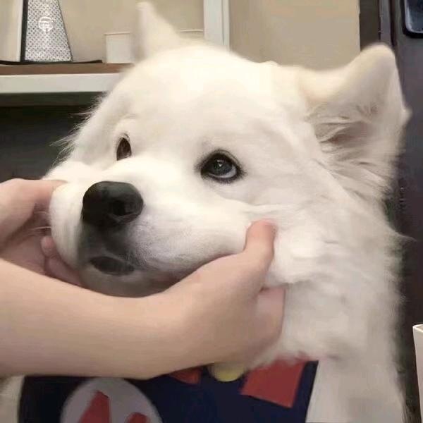 什么时候能发财