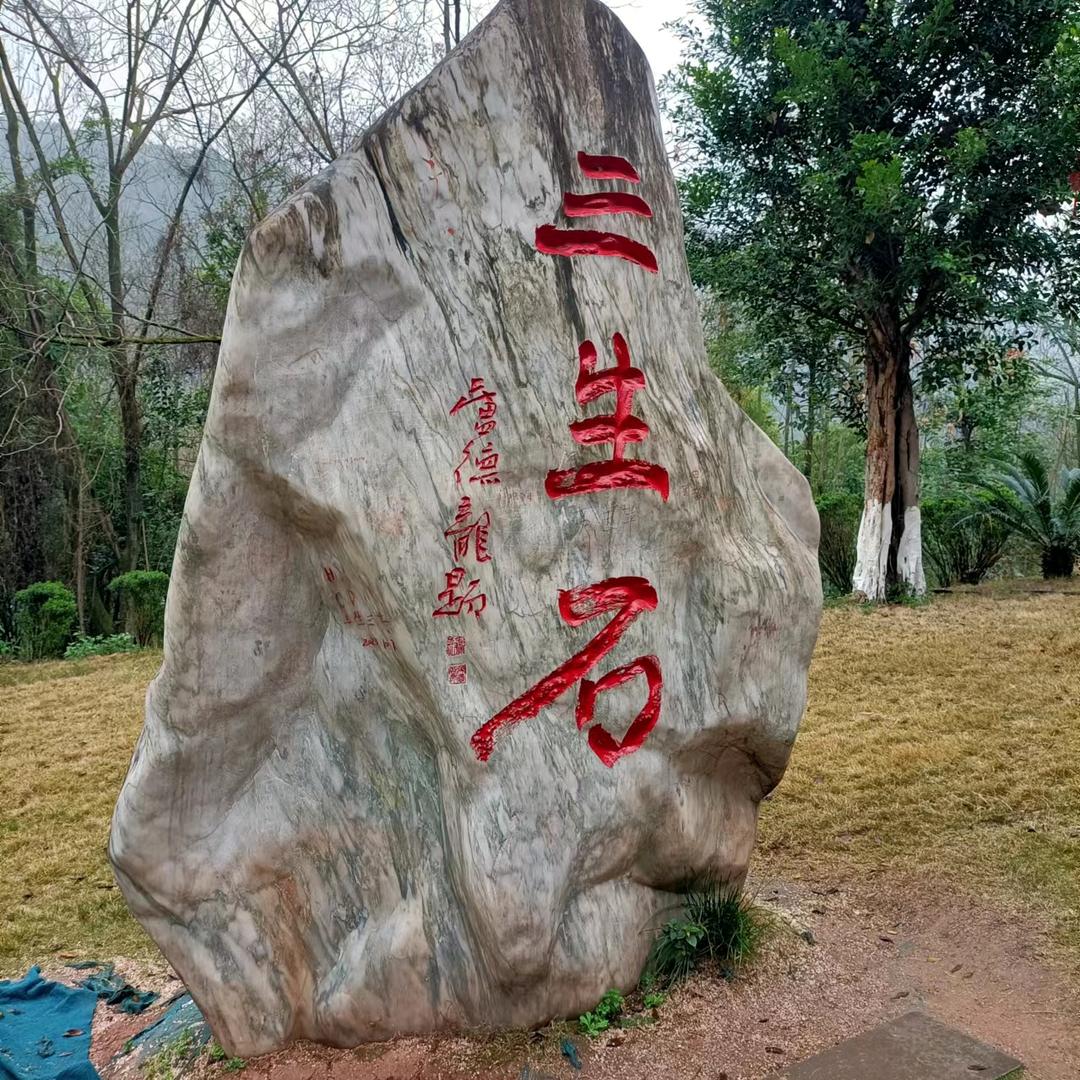 忘优草