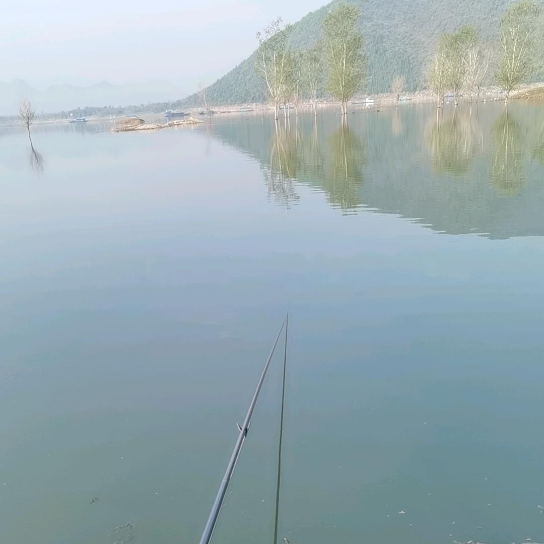 高山仰止
