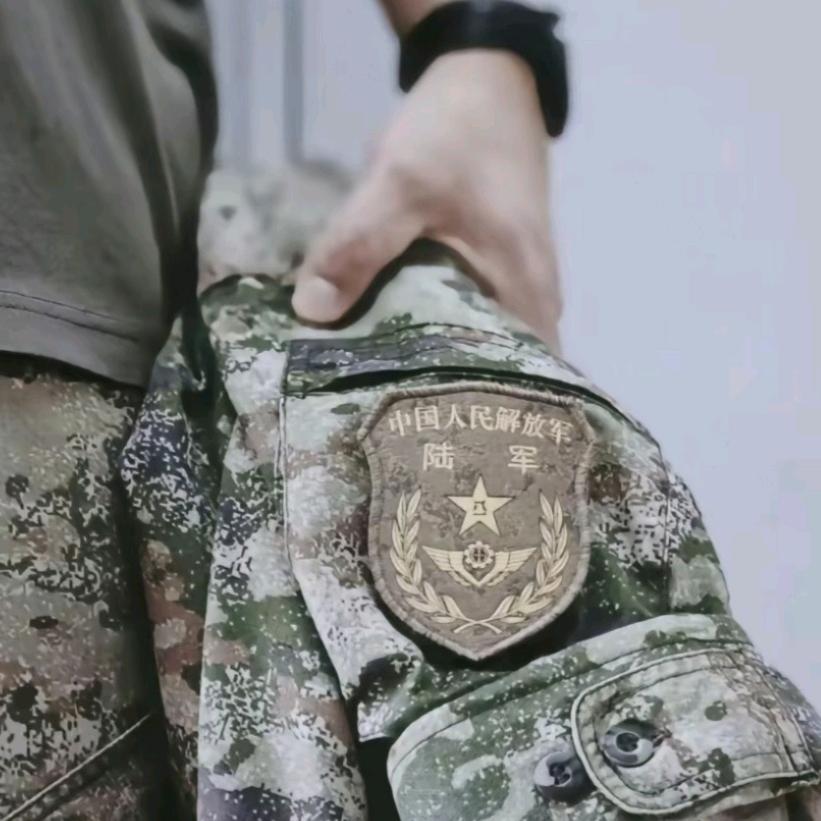 智成特训张教