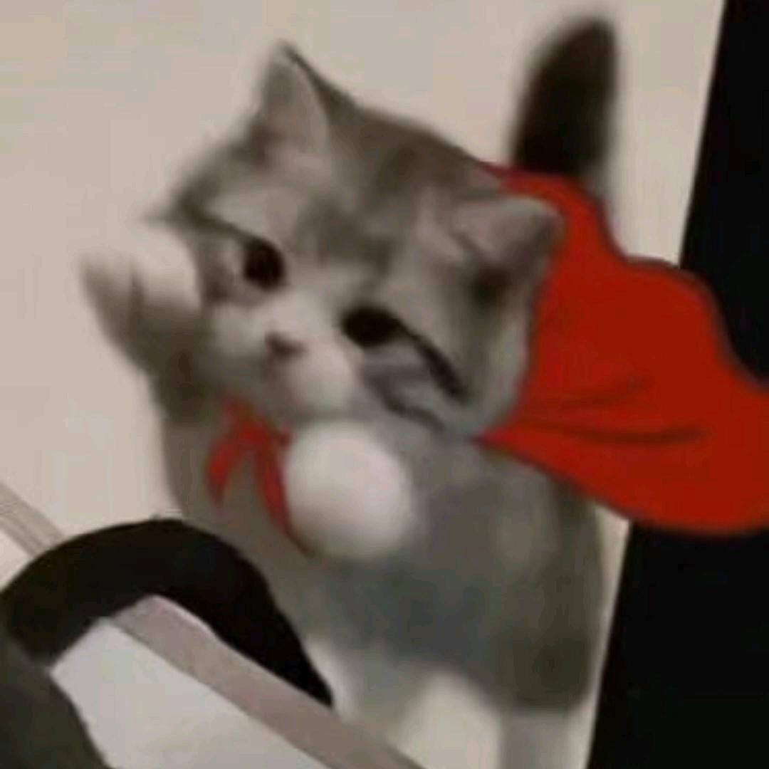 放热
