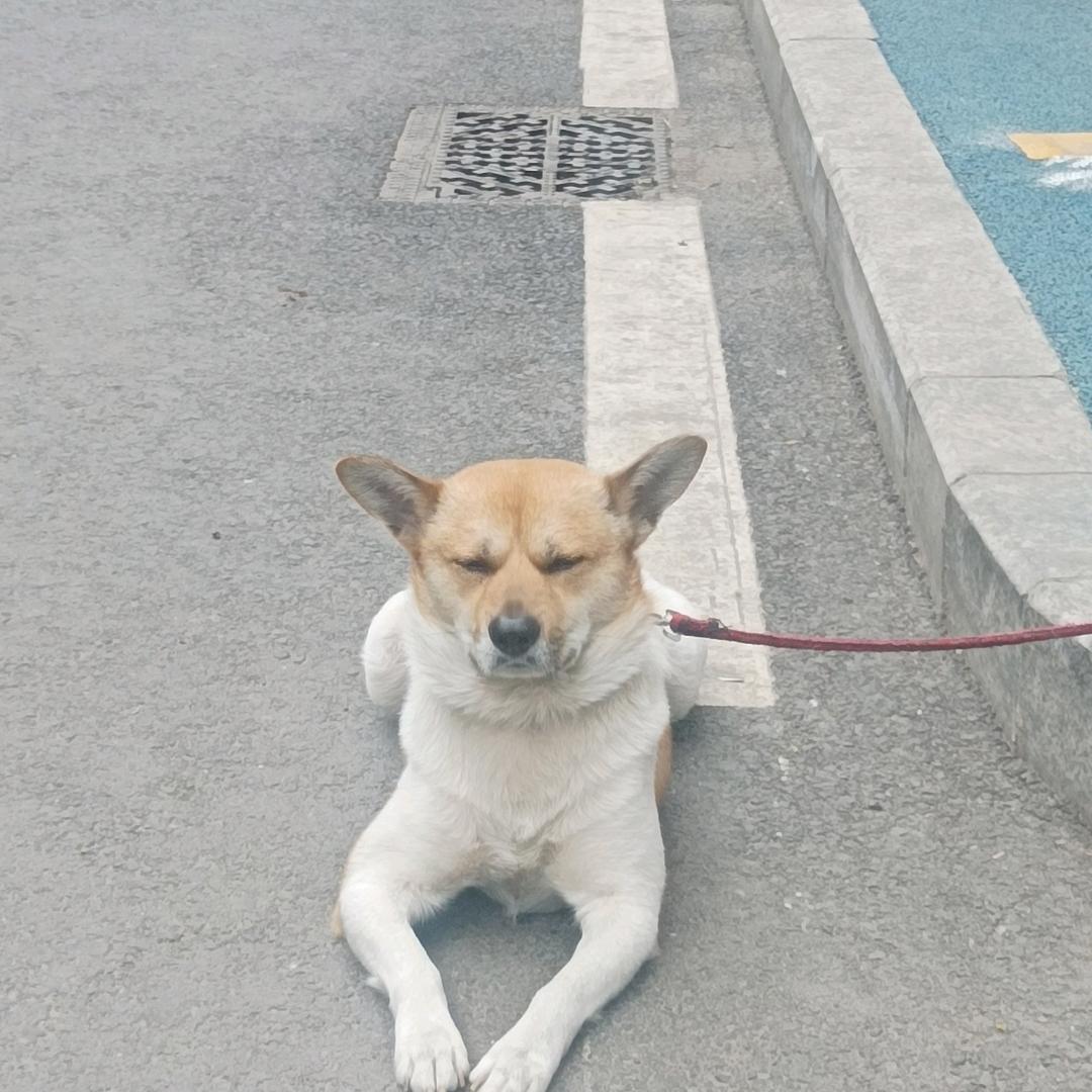 老沈