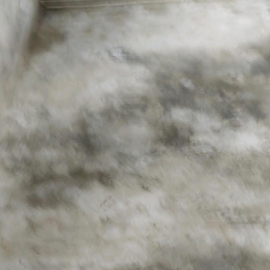 孙永权..、！灬🔪氵ⅱ氵ⅰ1丶、"11