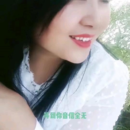 相思泪