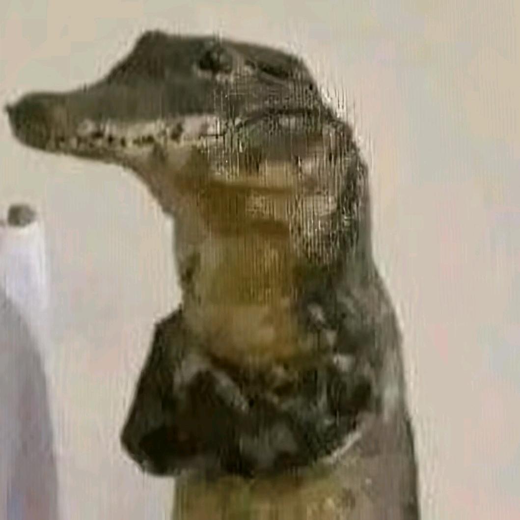 ￴ ￴￴ ￴￴ ￴￴￴ ￴￴ ￴ 老实人