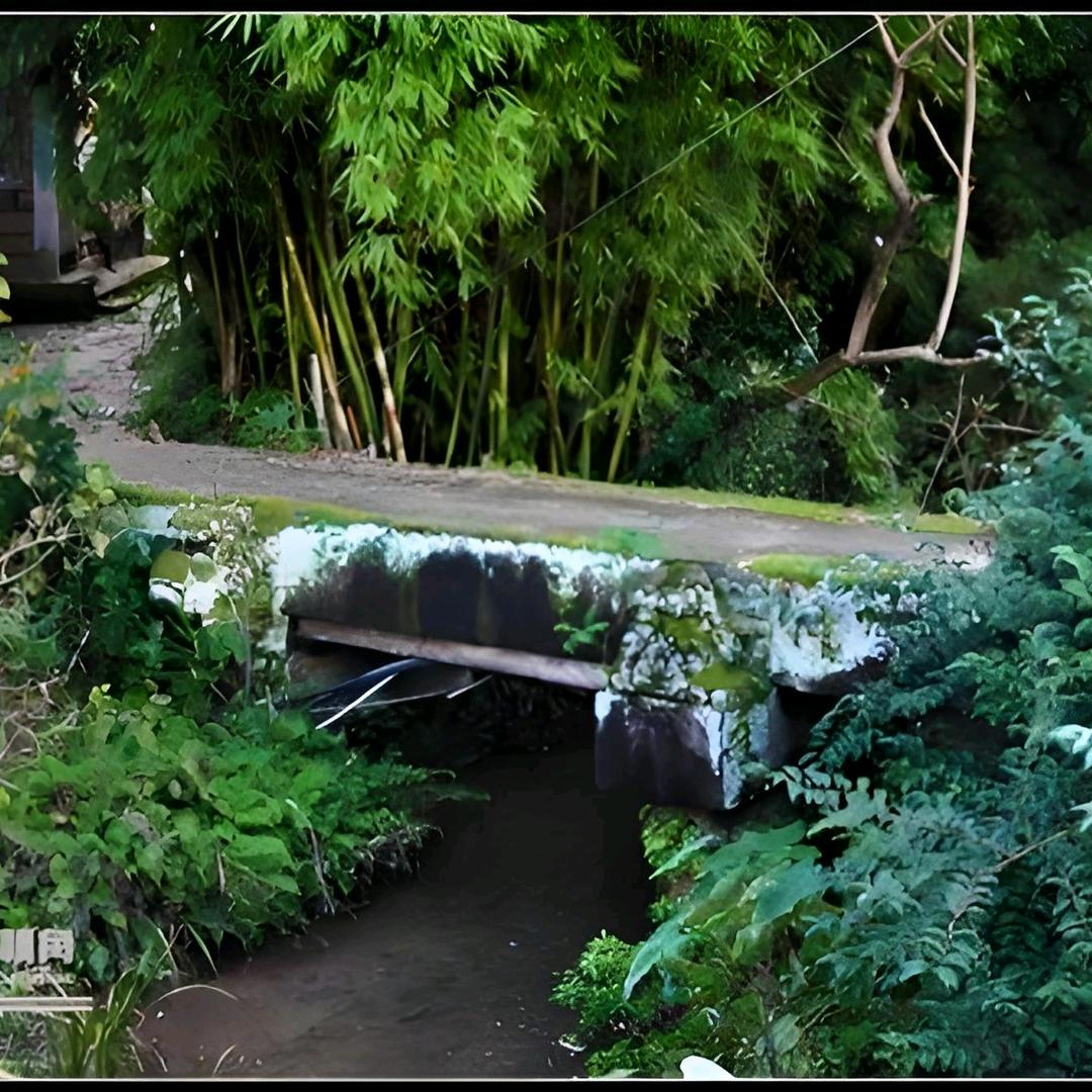 🌧️那个男人🌧️