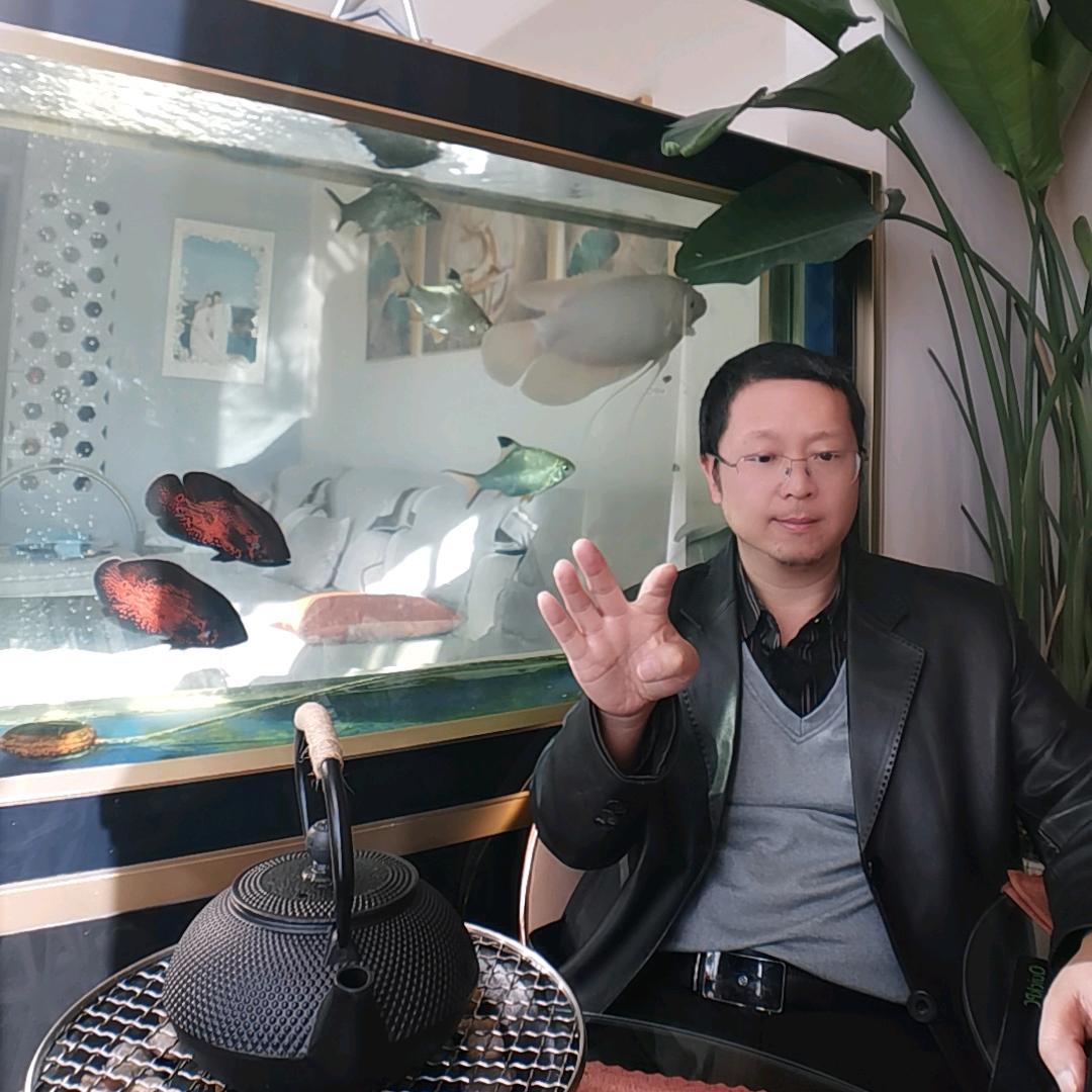 建造师带娃（）