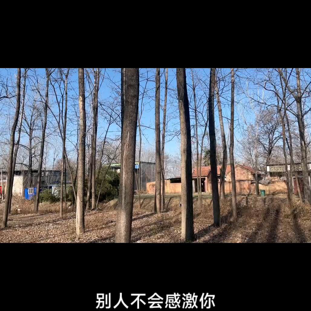心态好，一切都好，
