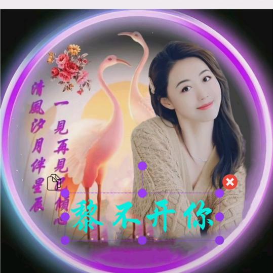零号嘉宾