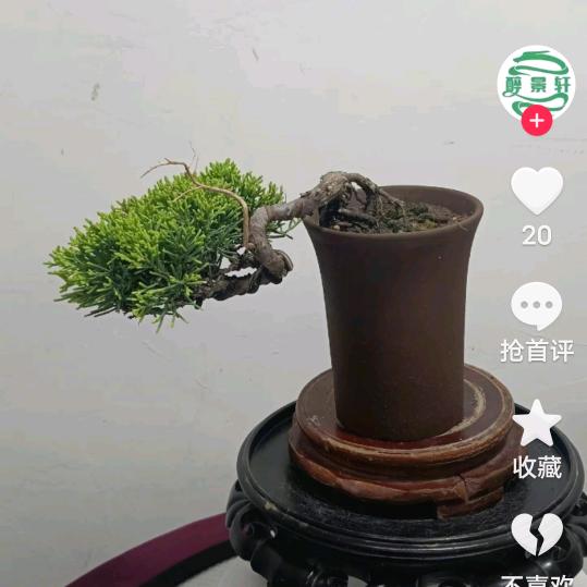 颍上七零后小老头