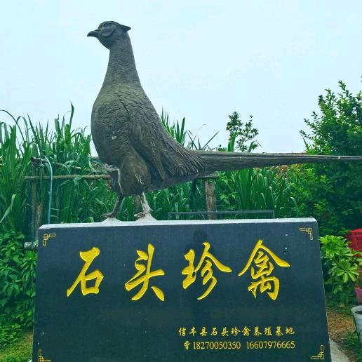 信丰石头珍禽养殖