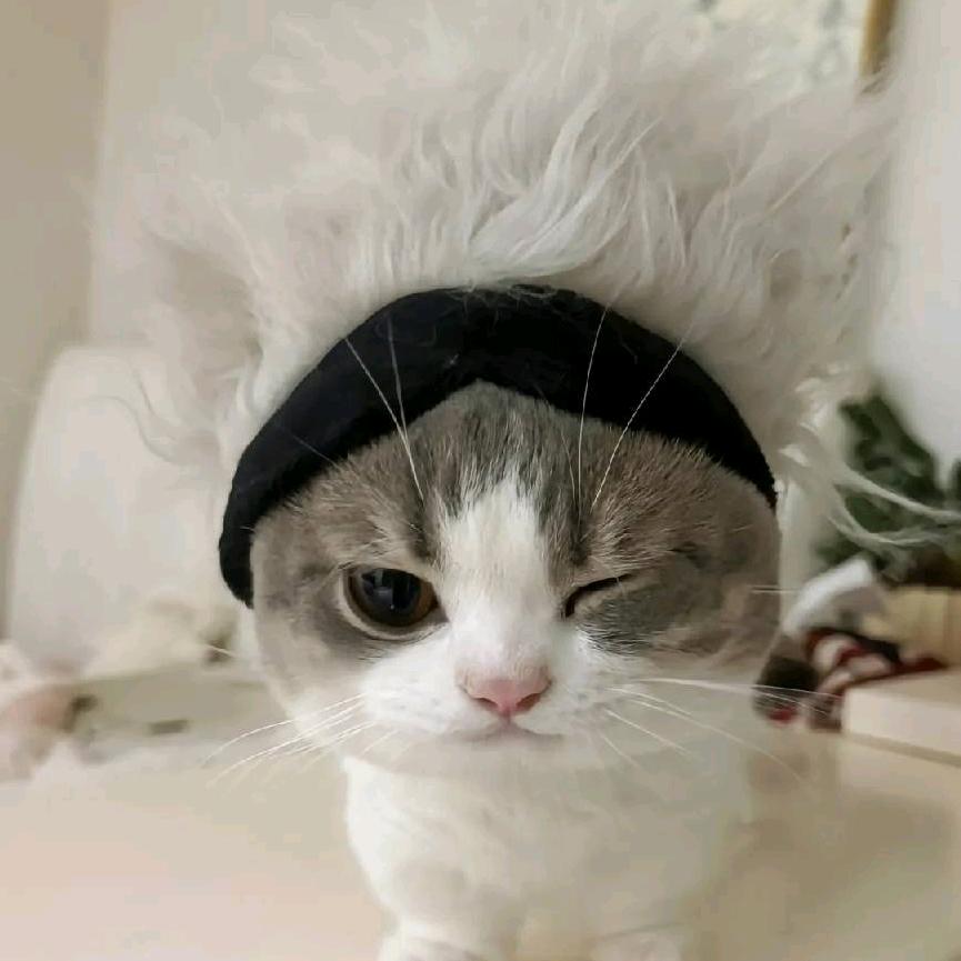韭菜猪肉饺子