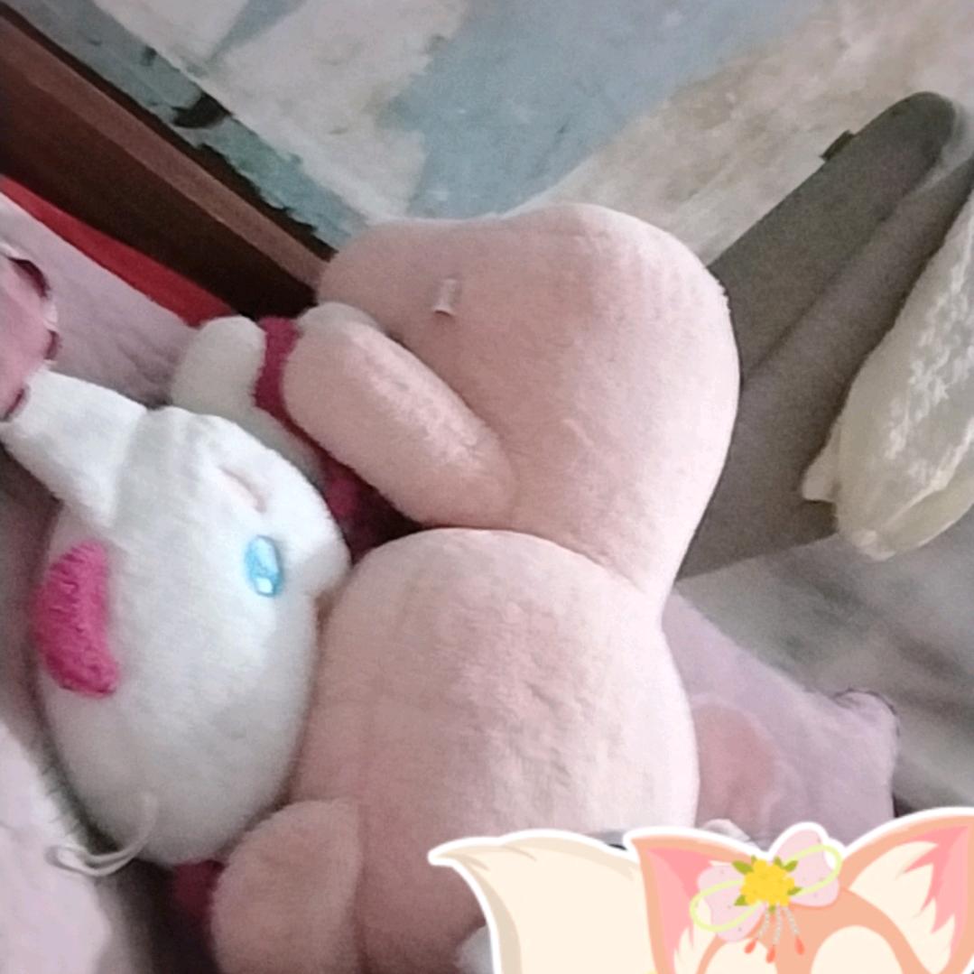 风里雨里都不怕