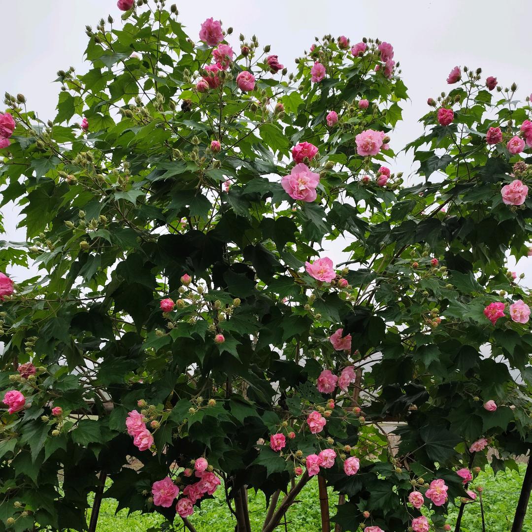 开心快乐每一天！