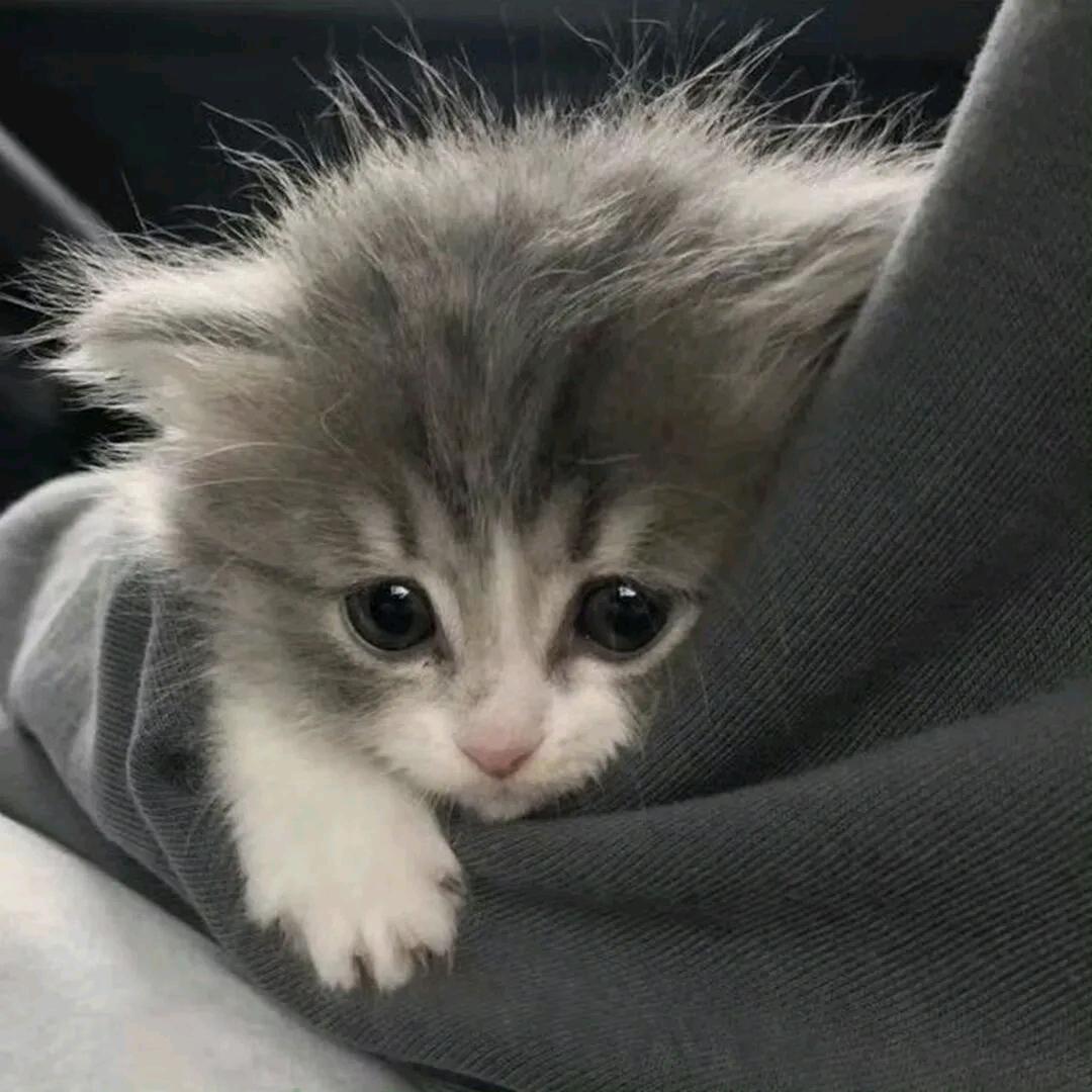 熹惜