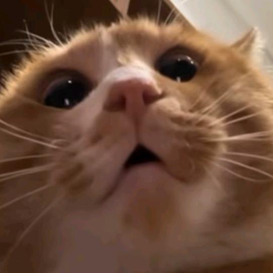 别喝美式来点中药