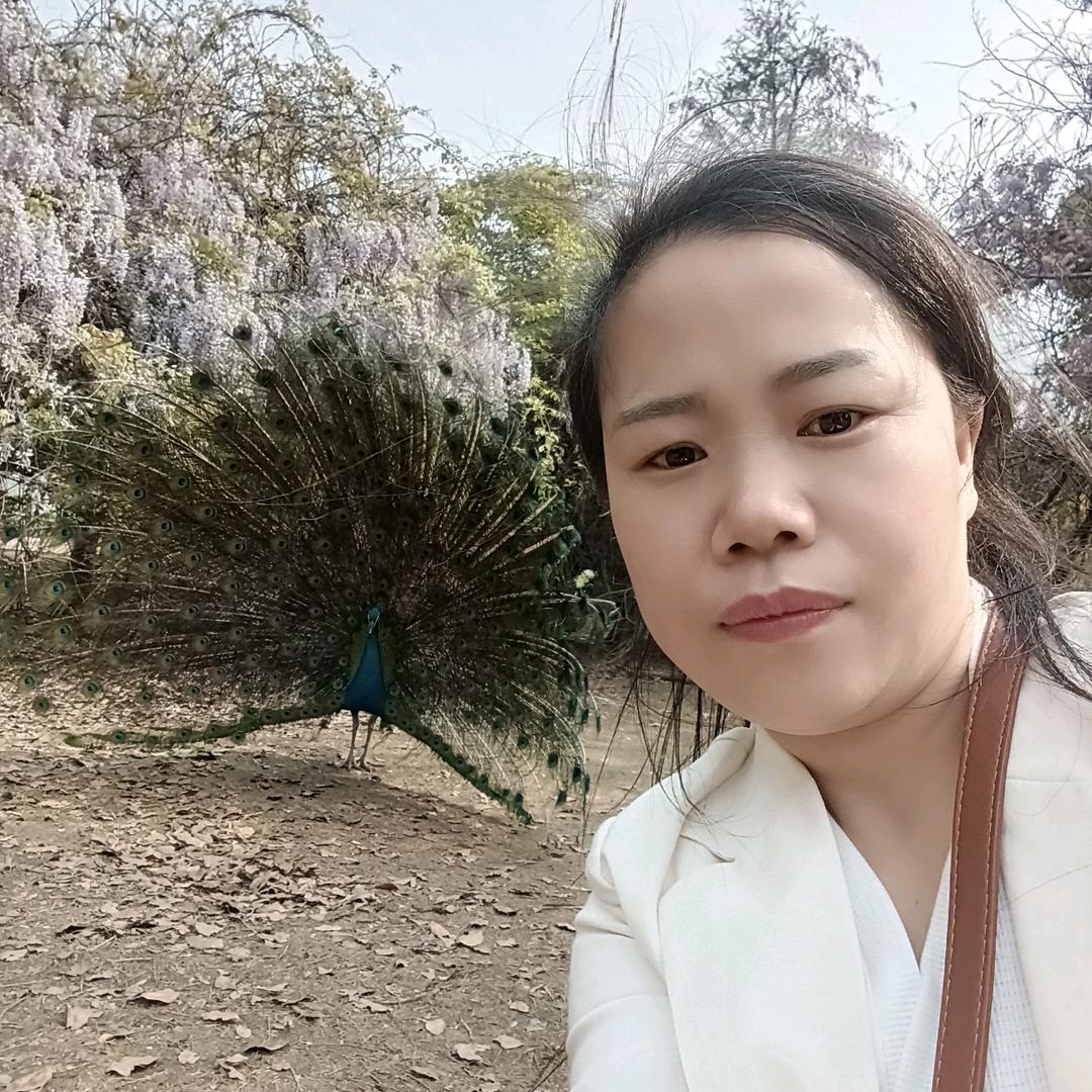 曾艷