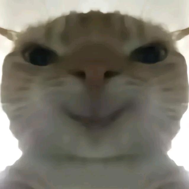 留在这