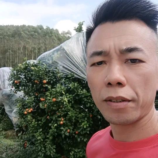 农民曰记