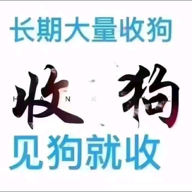 新铭辉土狗养殖场