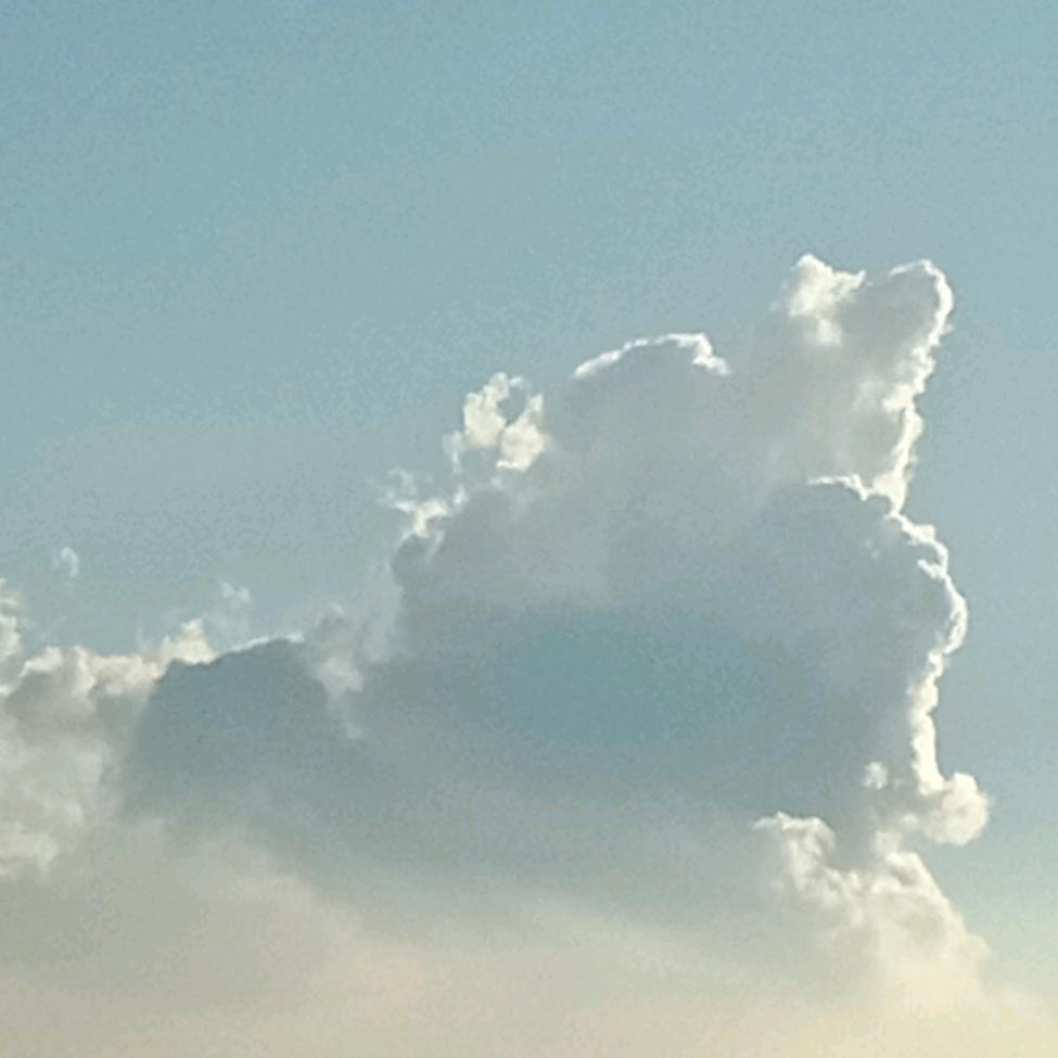 此号从此封票