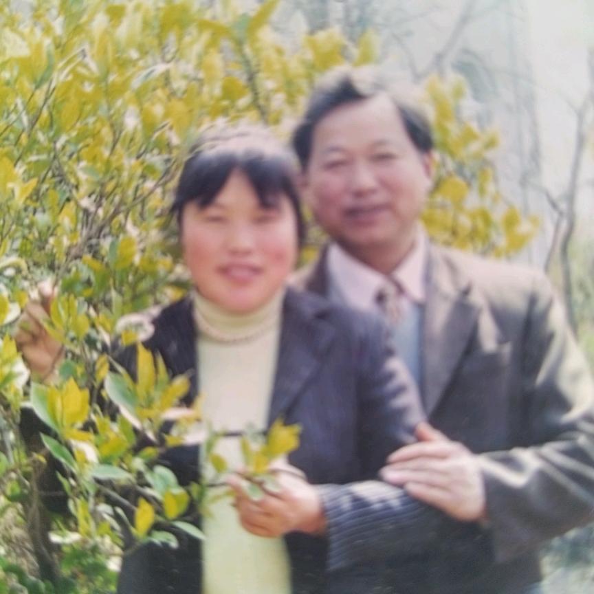 香梅