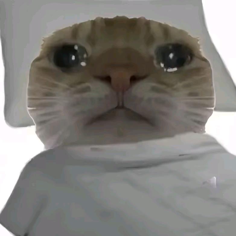 鸡蛋糕