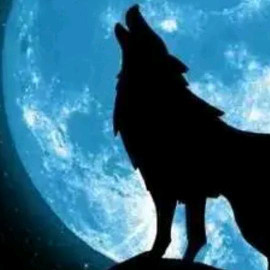 ㅤㅤ 　ㅤㅤㅤㅤ 　☪️༽྅ༀ战ཨོ༖狼