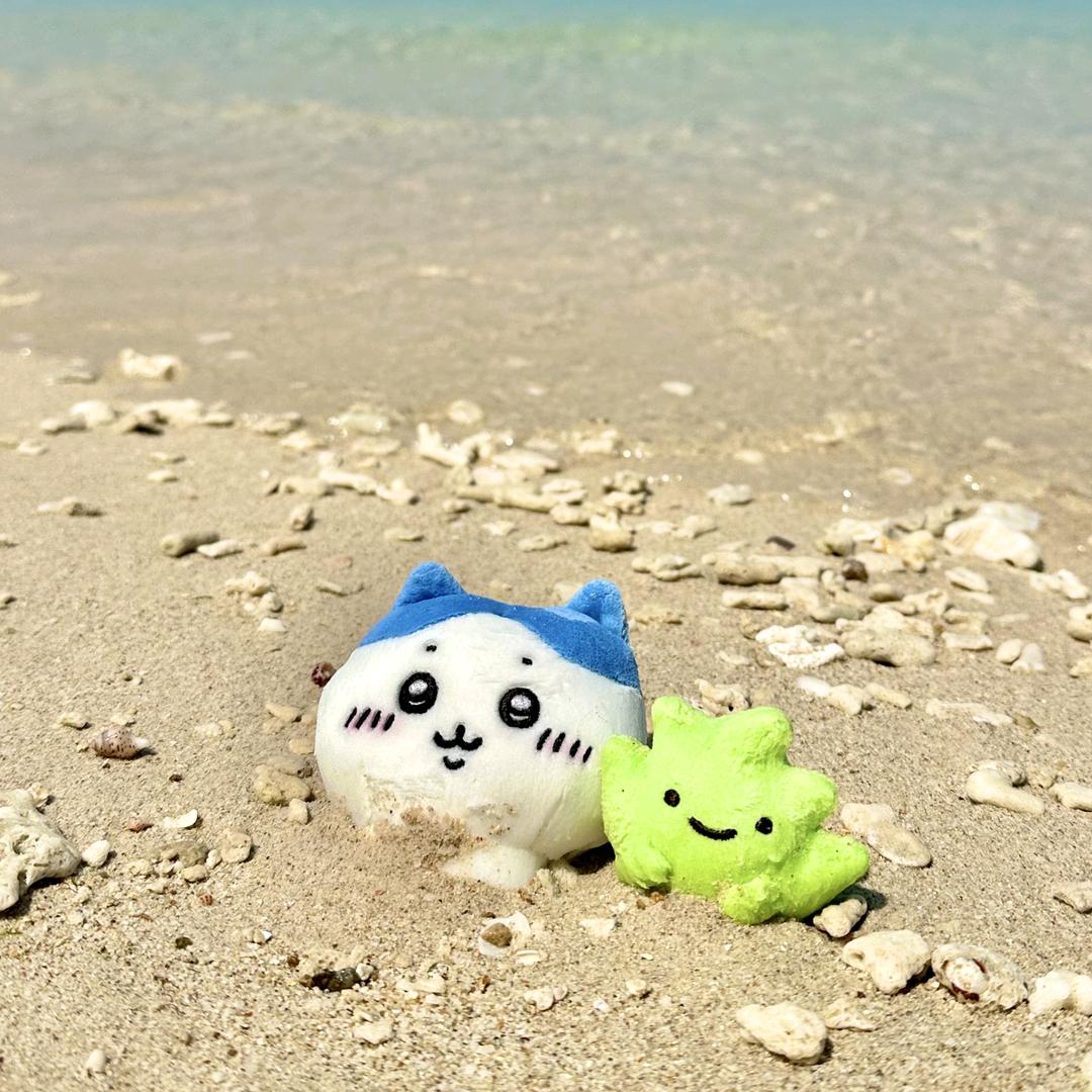 粉葛家的工具人