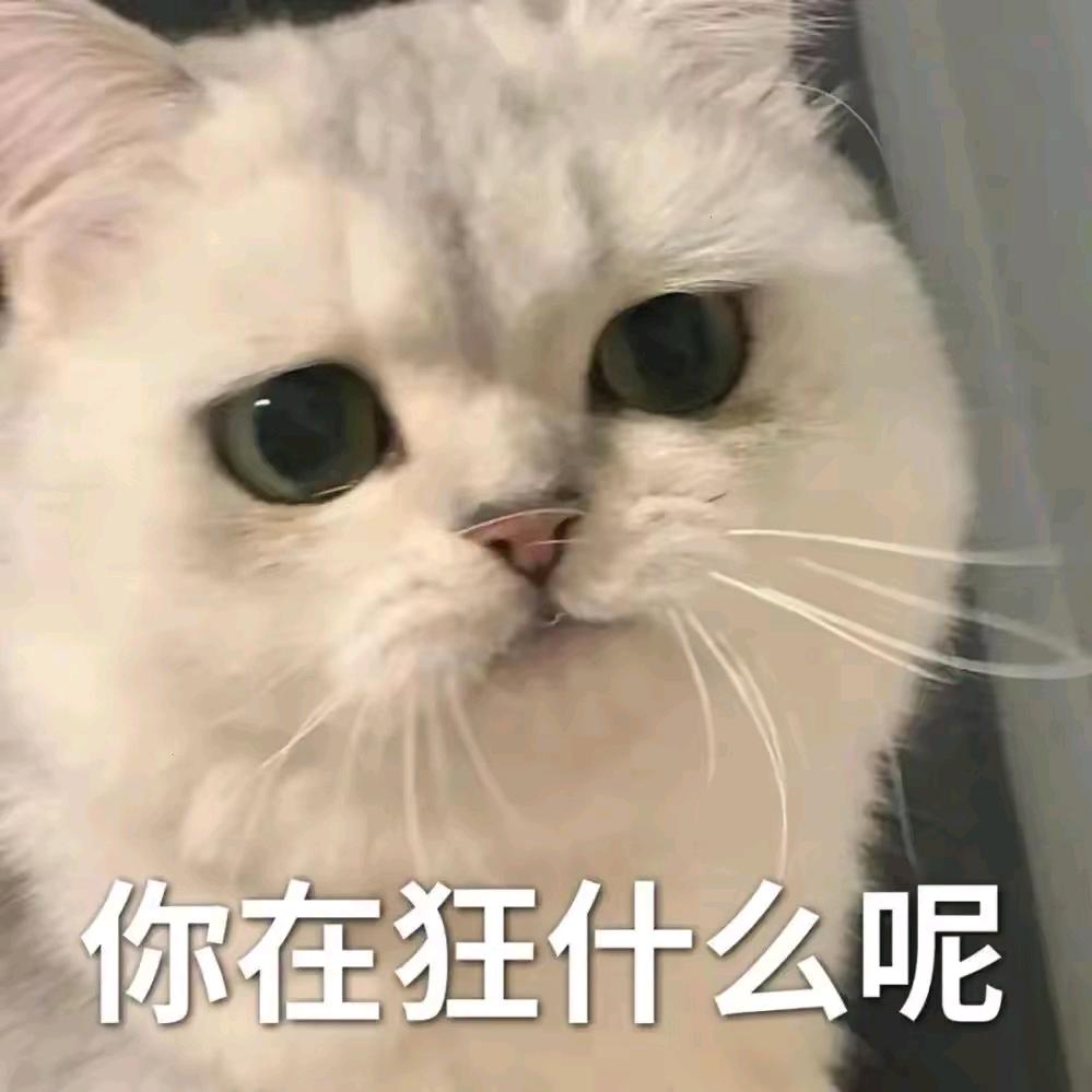 ༊ღ᭄ꦿ꯭꯭翩若浮云ꦿ꯭ღ᭄