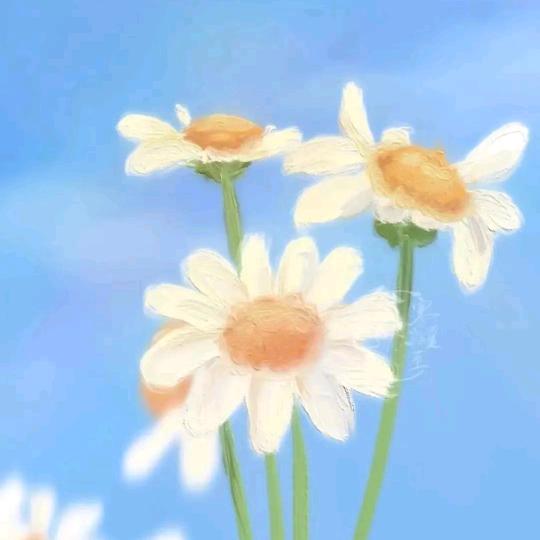 呆呆0729头像