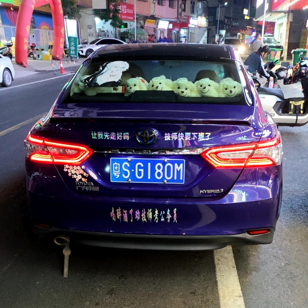 暴躁的小凯👑