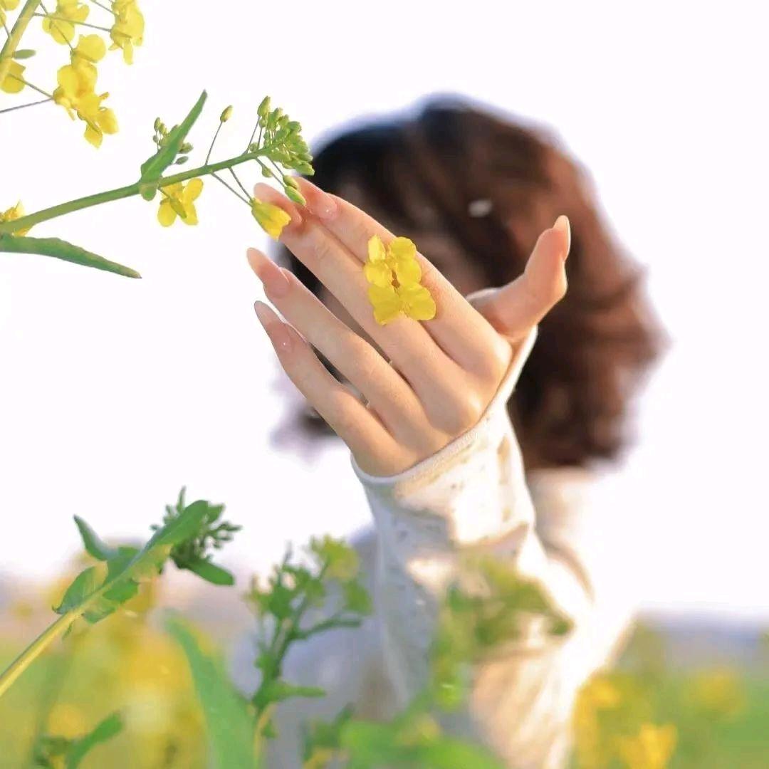 💞এ独᭄宠ꦿ🐰᭄‧̫头像