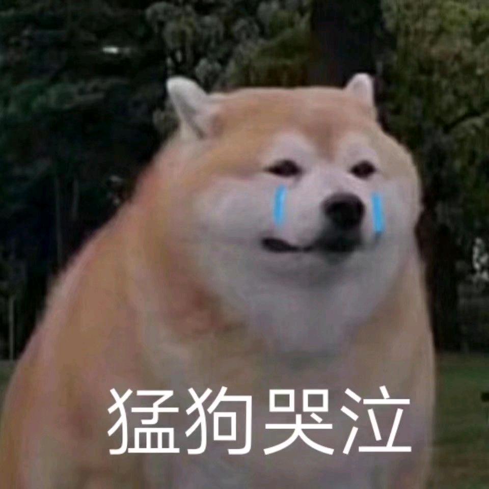 一个真正的细狗