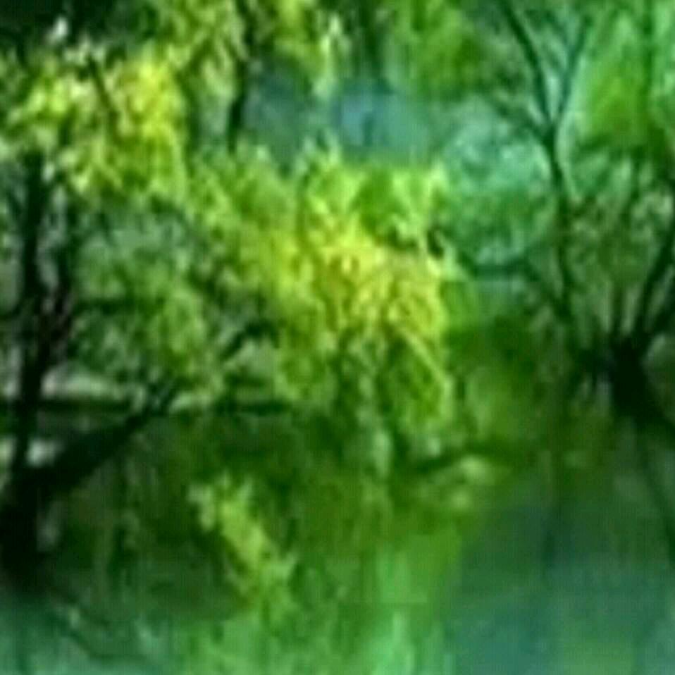 如梦初醒，