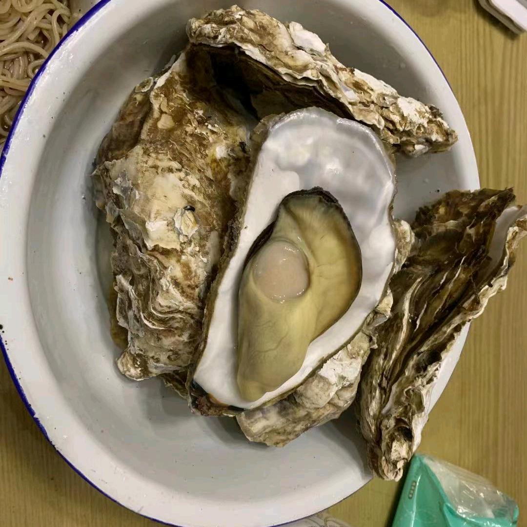蚝吃海鲜