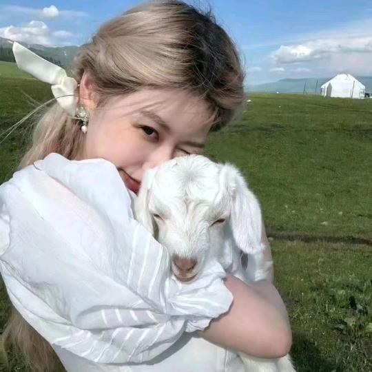 我要上岸