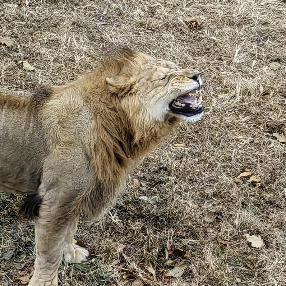 威海  神雕山（团购推荐）