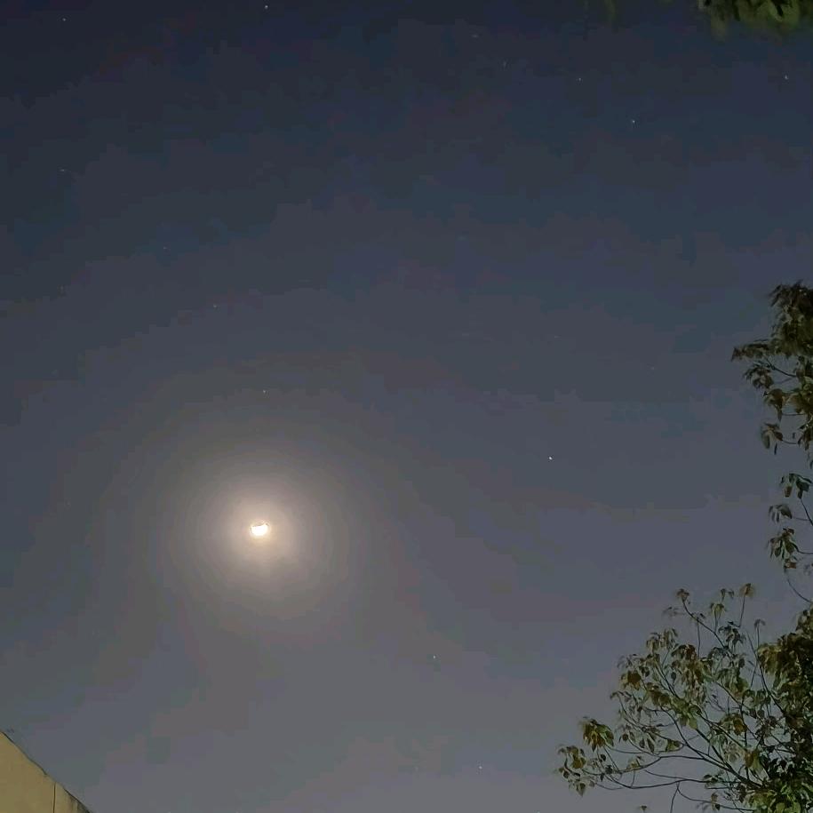 一粒沙